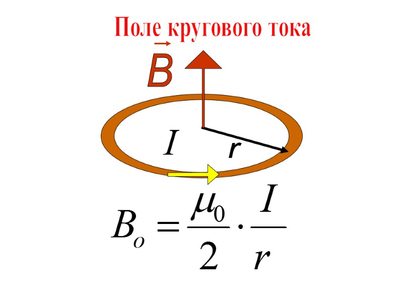 Поле кругового тока
